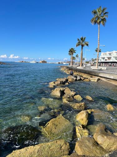 a beach with palm trees and water and rocks at Villa Talya in Peyia