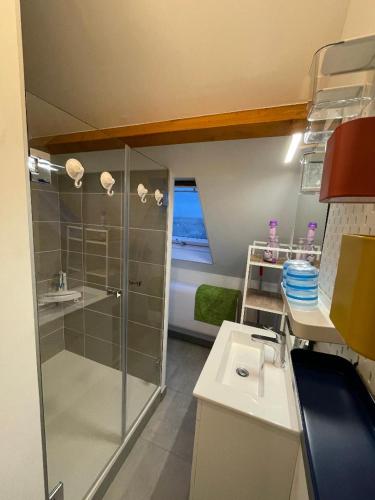 La petite salle de bains est pourvue d'une douche et d'un lavabo. dans l'établissement Hebergement dans bourg Penestin, à Pénestin