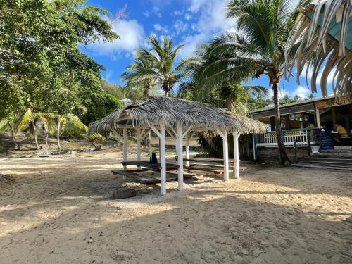 a straw hut on a beach with palm trees at studio Ti’Gwada Family in Saint-François