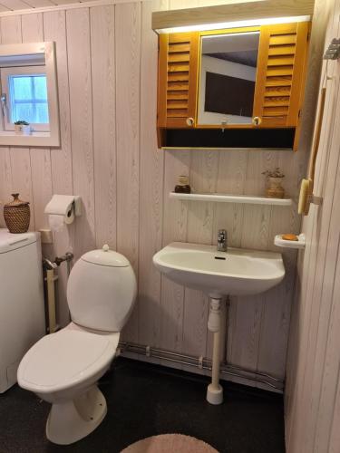 a bathroom with a white toilet and a sink at Cosy Cabin close to Lake in Ludvigsborg