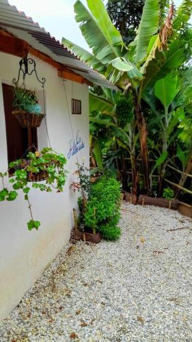 Κήπος έξω από το Finca La Alborada