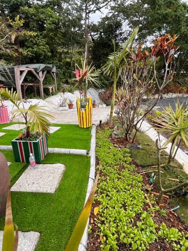 a garden with palm trees and plants in a yard at Buena Vista Villa Amami in Amami