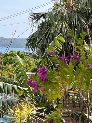 a garden with purple flowers and palm trees and the ocean at Buena Vista Villa Amami in Amami