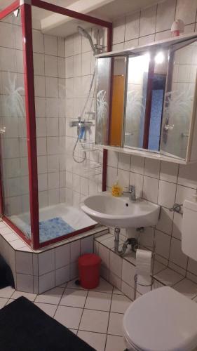 a bathroom with a sink and a toilet and a mirror at Ferienwohnungen an der Schusteracht Dachgeschoss und Souterrain in Kiel