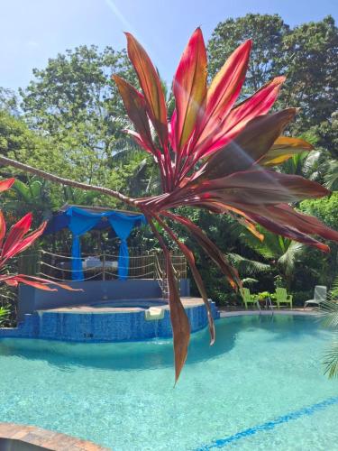 a palm tree next to a swimming pool at Hotel 3 Bamboo Ecolodge in Cahuita