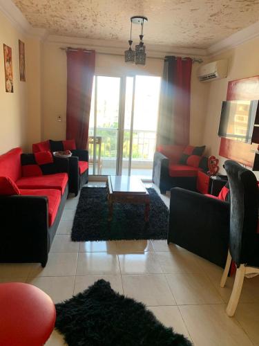 مدينتي القاهره الجديده