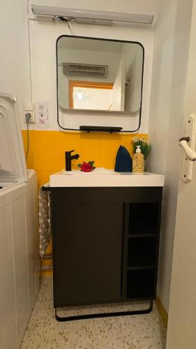 une salle de bain avec un lavabo et un miroir dans l'établissement Apaloosa - Parking Wifi Plage TOP PROS SERVICES, à La Grande Motte