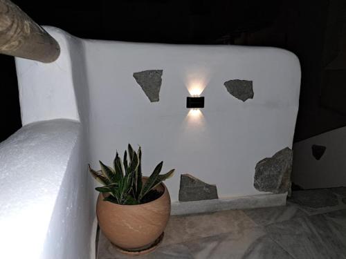 a white wall with a potted plant and a light at Family Home Naxos in Naxos Chora
