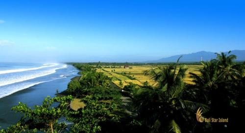 a view of a beach with palm trees and the ocean at Kelapa Retreat & Spa in Pulukan