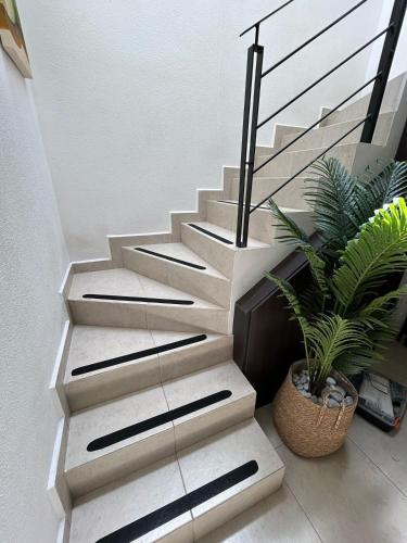 a stairway with a potted plant next to it at Casa Privada El Marqués Qro in Querétaro