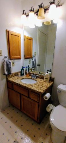 a bathroom with a sink and a toilet and a mirror at Private Rooms at US75 Central Plano in Plano
