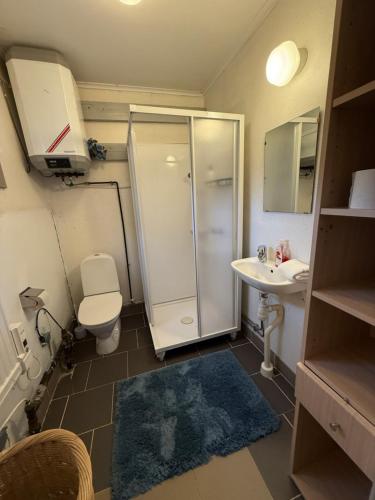 Koupelna v ubytování Stuga på en vacker campingplats