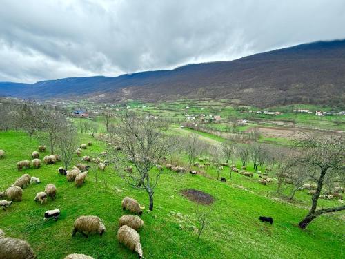 Fotografie z fotogalerie ubytování Vojic Lookout v destinaci Duljci