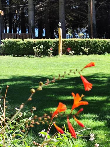 Jardín al aire libre en Cabañas Añahue