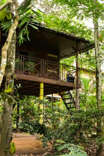 Monsoon Retreats Treehouse
