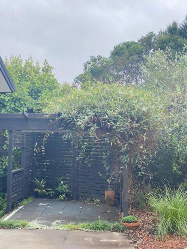 a garden with a tree and a wooden fence at Whangaroa Casa Roca Studio in Whangaroa