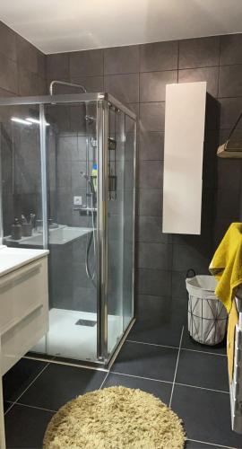 La salle de bains est pourvue d'une douche et d'un tapis. dans l'établissement Appartement T3, 5 minutes à pied des plages, à Ajaccio