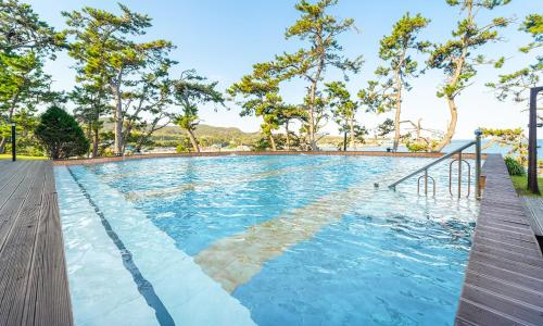 a swimming pool with blue water and trees at Pohang Pine Wave Spa Pension in Pohang