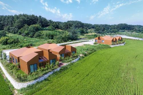 an aerial view of a house in a field at Gangneung Hyusik Ryokan Pool Villa in Koemae-dong