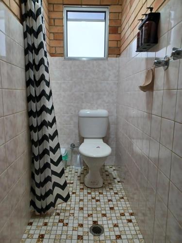a bathroom with a toilet and a shower curtain at Civic Motel Grafton in Grafton