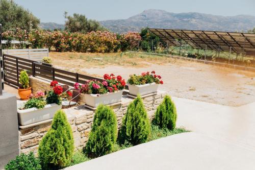a row of flowerpots on a fence with flowers at ΙΣΟΓΕΙΟ ΕΠΙΠΛΩΜΕΝΟ ΔΙΑΜΕΡΙΣΜΑ in Dhirrévmata