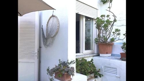two pictures of a window with potted plants on it at Casa Acqua Marina Ponza in Ponza