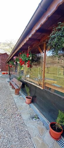 Κήπος έξω από το Aframe GG la Casa Galeata