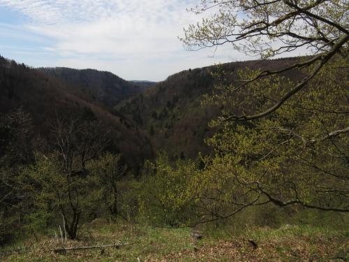 a view of a valley from a hill with trees at Apartment Nad Punkvou in Těchov