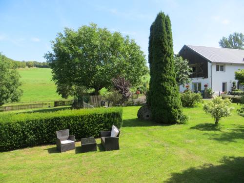 a garden with two chairs and a tree and a house at Ferienwohnungen Grafenfelder Hof in Gerolstein