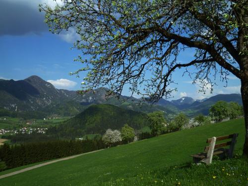 a bench sitting on a hill with a view of mountains at Familienbauernhof Christa in Rossleithen