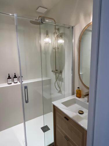 une salle de bain avec douche et lavabo dans l'établissement Coeur de Ville, à Nantes