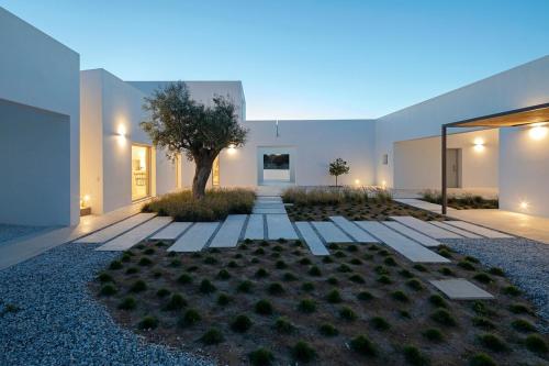 Κήπος έξω από το Villa kite
