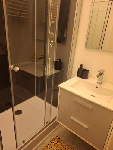 une salle de bain avec douche et lavabo dans l'établissement Marrakech comes to Toulouse, à Toulouse