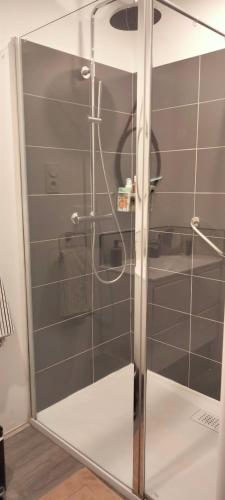 a shower with a glass door in a bathroom at Côté Jardin la belle époque in La Bourboule