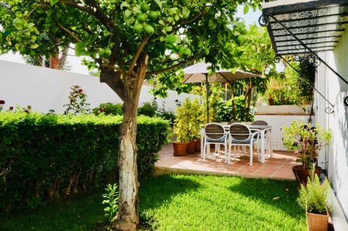 NUEVA NERJA 21 MENYBER
