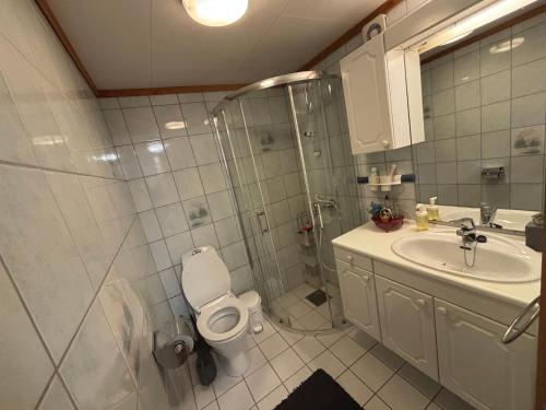 a bathroom with a shower and a toilet and a sink at Utsiken in Bergen