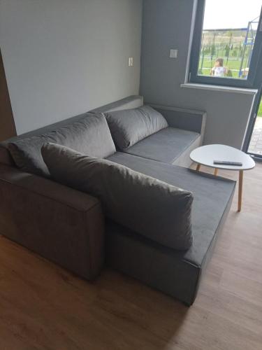 a living room with a couch and a table at Apartamenty na Widoku Chłopy in Chłopy