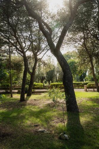 a group of trees and benches in a park at Tenuta Negroamaro in Gallipoli
