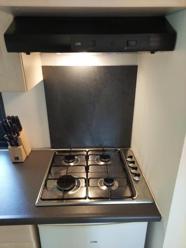 Dapur atau dapur kecil di Chalet in Hattemerbroek 'Boshuisje Dennenrust'
