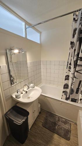 une salle de bain avec un lavabo et une baignoire dans l'établissement La Tanière Sedanaise 2 bedrooms parking wifi, à Sedan