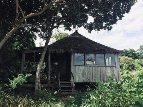 a small hut with a window and stairs next to a tree at Lazy Beach in Koh Rong Sanloem