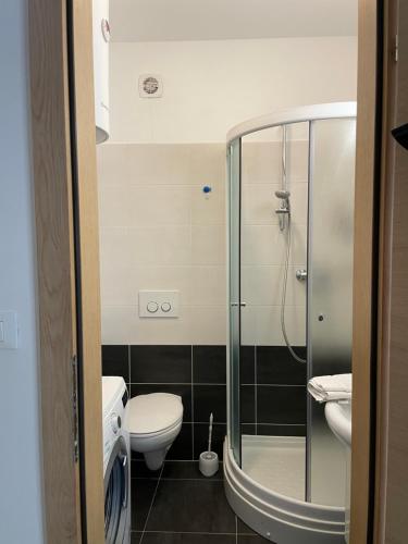a bathroom with a toilet and a glass shower at Apartment Mali raj in Medulin