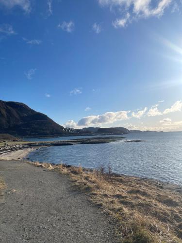a beach with a body of water with mountains in the background at Appartment in beautiful nature in Bodø