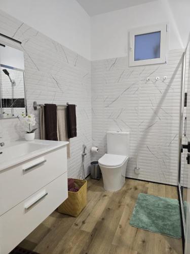 a bathroom with a toilet and a sink at Apartamento Teror Encantado in Teror