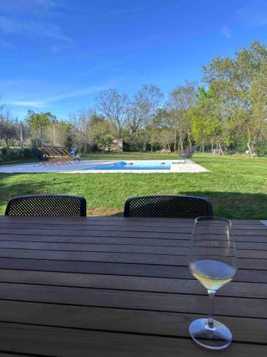 a glass of white wine sitting on a wooden table at Villa Ondina - private pool in Brtonigla