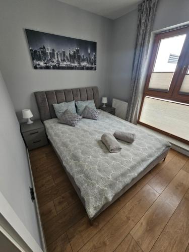 キェルツェにあるApartament Ventus Business and Living 46の枕が2つ置かれたベッドのある寝室