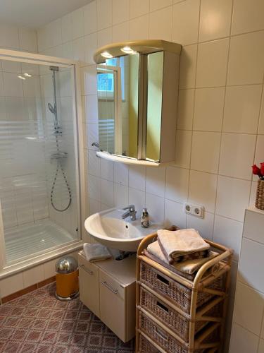 a bathroom with a sink and a shower at Apartment Vis-a-vis in Wernigerode