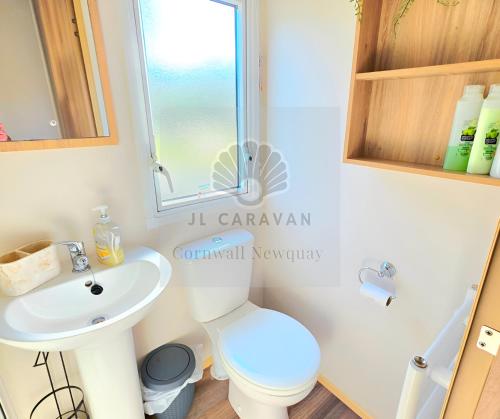 a bathroom with a toilet and a sink at JL Cornwall Newquay Caravan in Newquay