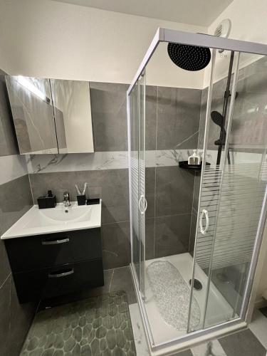 une salle de bain avec douche et lavabo dans l'établissement Le Cosy I Studio, à Annemasse