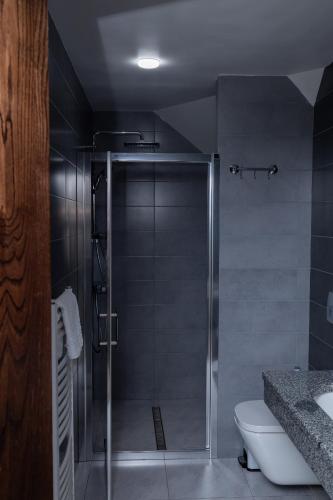a shower with a glass door in a bathroom at Синевирський Перевал in Synevyr